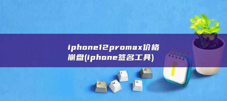 iphone12promax价格崩盘 (iphone签名工具)